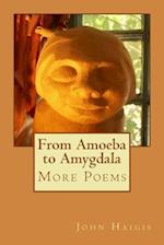From Amoeba to Amygdala