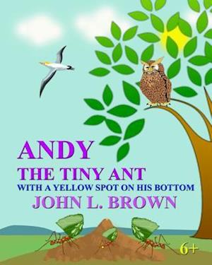 Andy The Tiny Ant