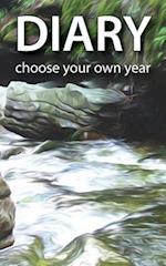 Diary - Choose Your Own Year