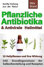 Pflanzliche Antibiotika & Antivirale Heilmittel