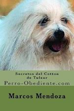 Secretos del Cotton de Tulear