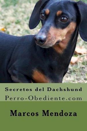 Secretos del Dachshund