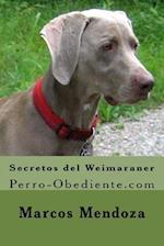 Secretos del Weimaraner