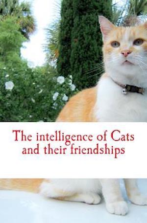 The intelligence of Cats and their friendships