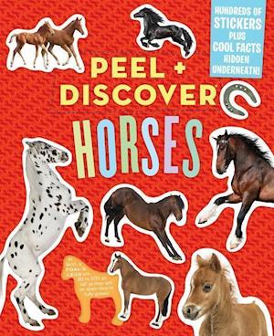 Peel + Discover: Horses