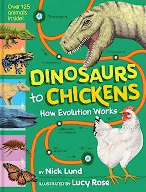 Dinosaurs to Chickens