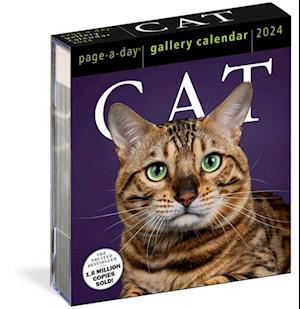 Cat Page-A-Day Gallery Calendar 2024
