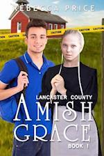 Lancaster County Amish Grace