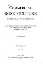 Commercial Rose Culture, Under Glass and Outdoors