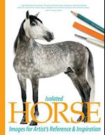 Isolated Horse Images for Artist's Reference and Inspiration