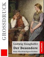 Der Besondere (Grossdruck)