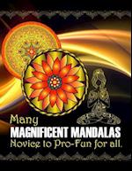 Many Magnificent Mandalas