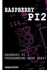 Raspberry Pi 2: Raspberry Pi 2 Programming Made Easy 