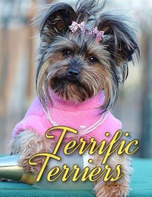 Terrific Terriers