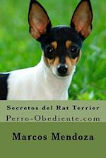 Secretos del Rat Terrier