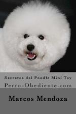 Secretos del Poodle Mini Toy