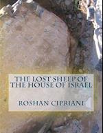 The Lost Sheep of the House of Israel