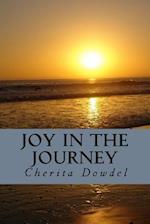 Joy in the Journey