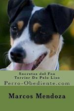 Secretos del Fox Terrier de Pelo Liso