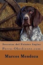 Secretos del Pointer Ingles