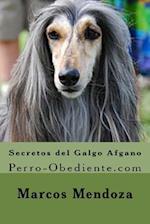 Secretos del Galgo Afgano