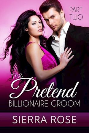 Pretend Billionaire Groom