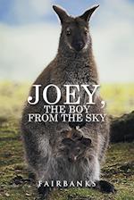 Joey, the Boy from the Sky