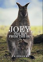 Joey, the Boy from the Sky