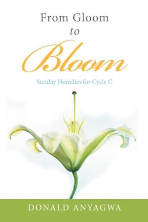 From Gloom to Bloom