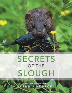 Secrets of the Slough