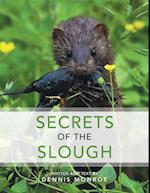 Secrets of the Slough