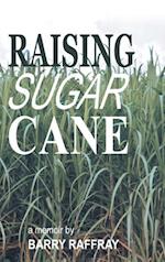 Raising Sugar Cane