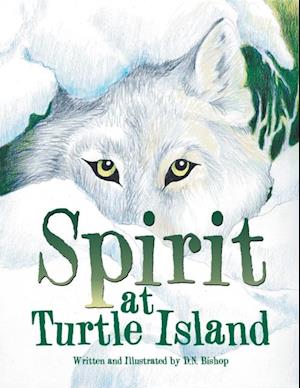 Spirit at Turtle Island