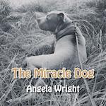 The Miracle Dog