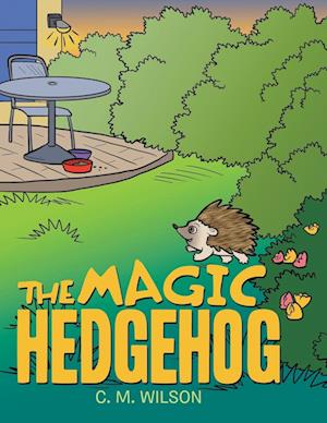 The Magic Hedgehog