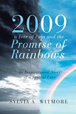 2009-A Year of Pain and the Promise of Rainbows