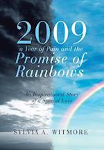 2009-a Year of Pain and the Promise of Rainbows