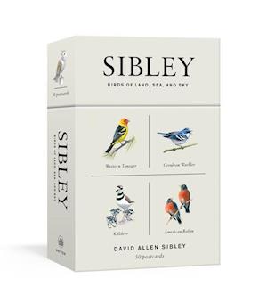 Sibley Birds of Land, Sea, and Sky