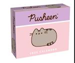 Pusheen 2025 Day-To-Day Calendar