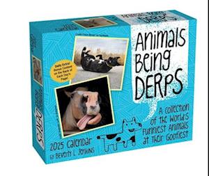 Animals Being Derps 2025 Day-To-Day Calendar