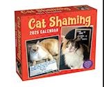 Cat Shaming 2025 Day-To-Day Calendar