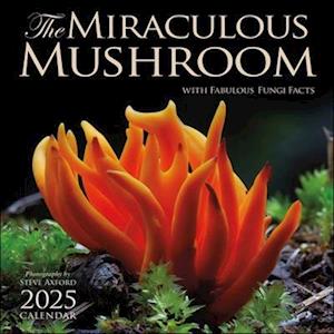 The Miraculous Mushroom 2025 Wall Calendar