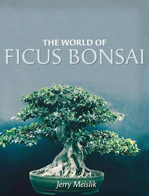 The World of Ficus Bonsai