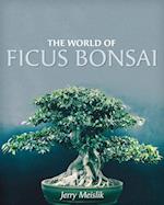 The World of Ficus Bonsai