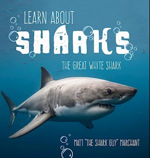 Learn about Sharks