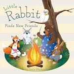 Little Rabbit Finds New Friends 