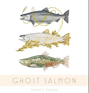 Ghost Salmon