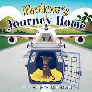 Harlow's Journey Home