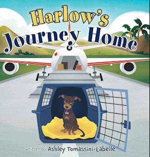 Harlow's Journey Home