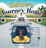 Harlow's Journey Home 